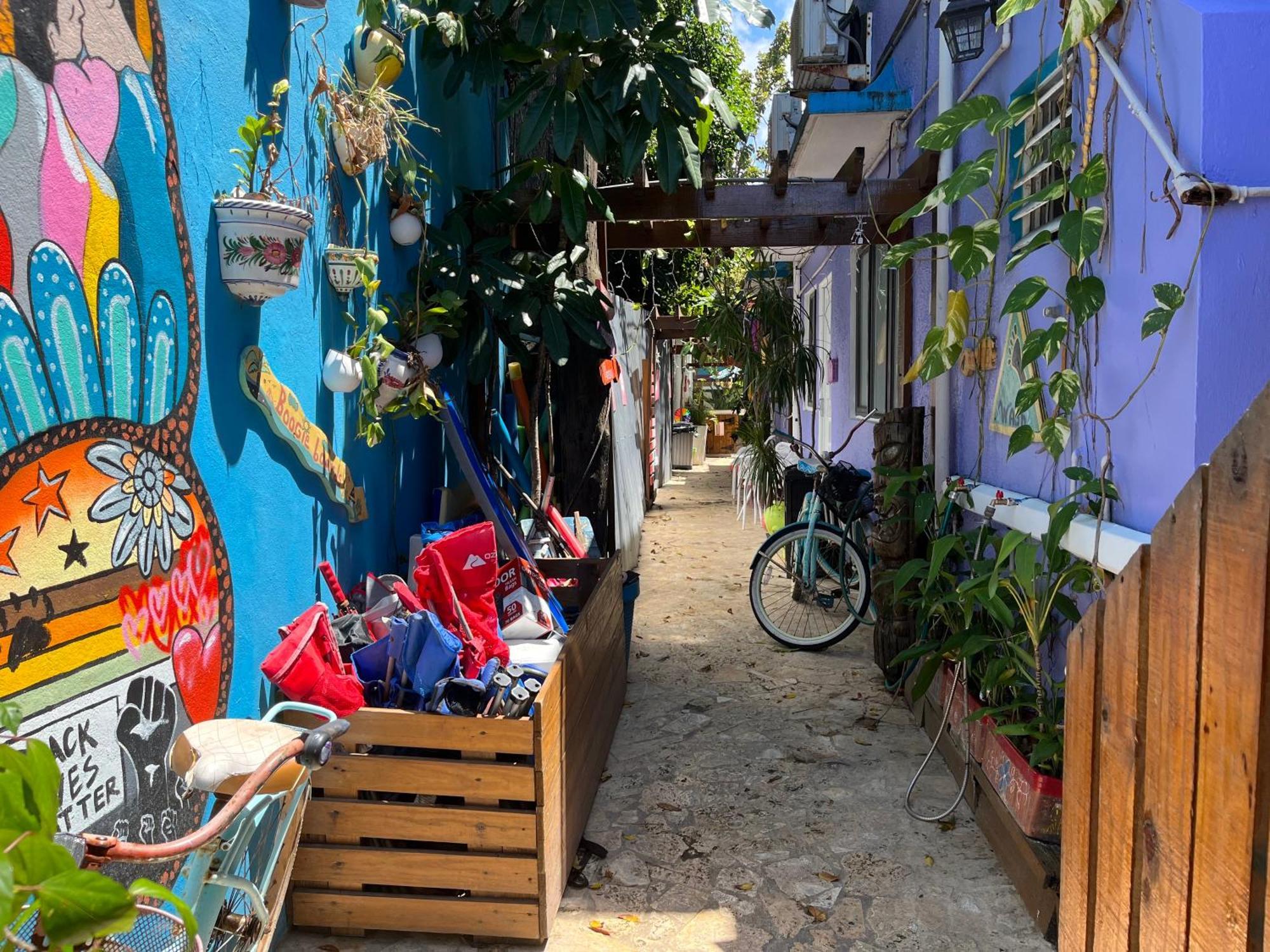 Lower Price, More Style, Discount Studio In San Juan,Pr, Beach, Free Bikes (Adults Only) 圣胡安 外观 照片