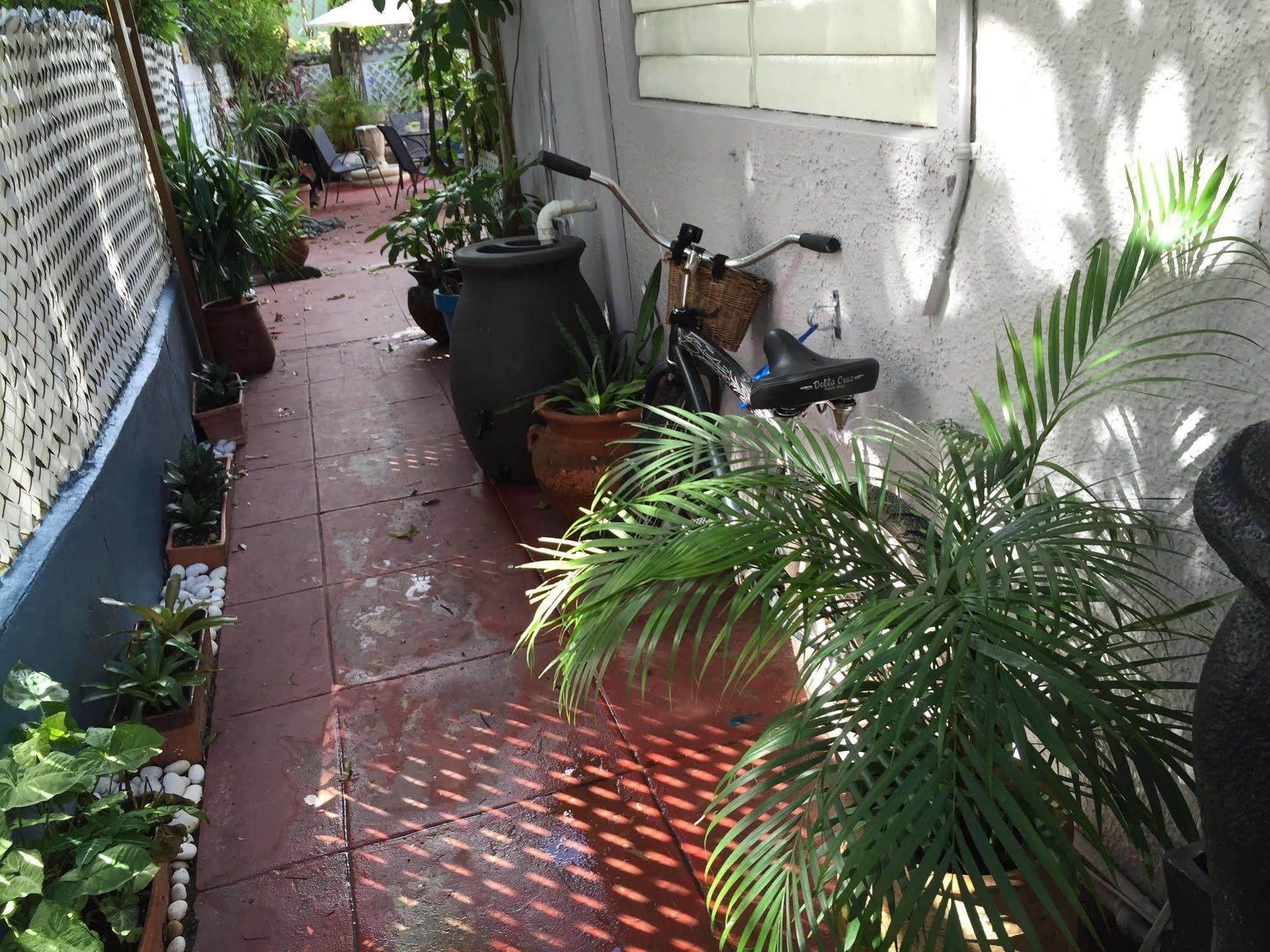 Lower Price, More Style, Discount Studio In San Juan,Pr, Beach, Free Bikes (Adults Only) 圣胡安 外观 照片
